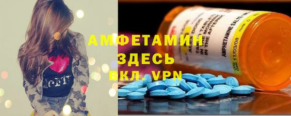 mdpv Инсар