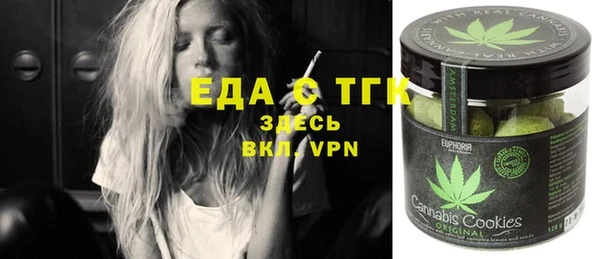 индика Иннополис