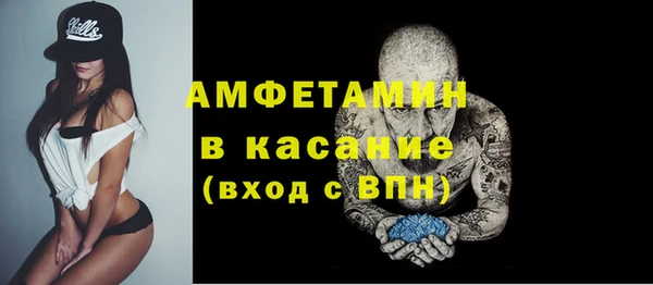 индика Иннополис
