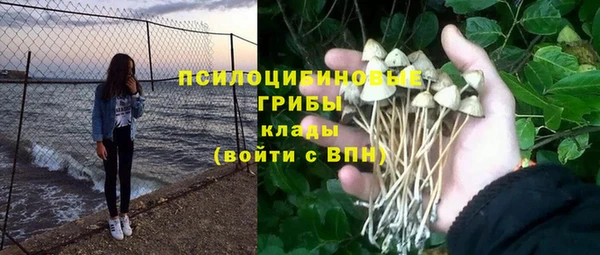 mdpv Инсар