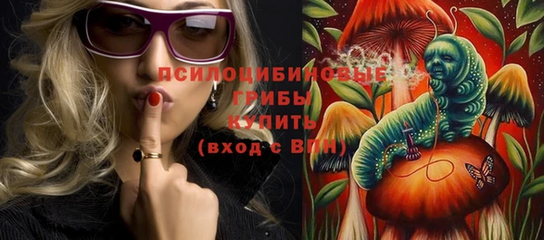 бошки Инта