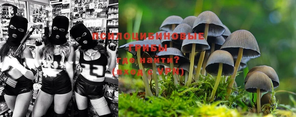 индика Иннополис