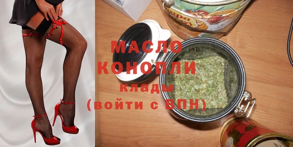 индика Иннополис