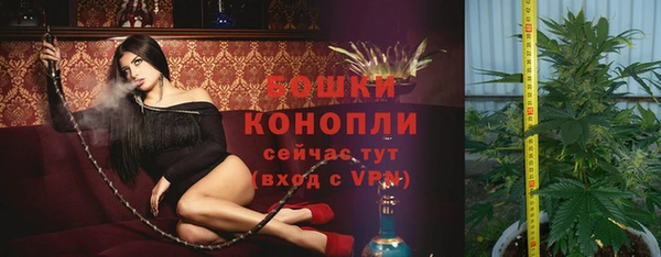 индика Иннополис
