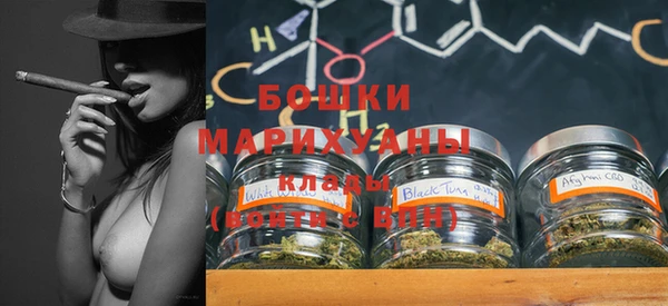 mdpv Инсар