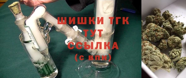 индика Иннополис