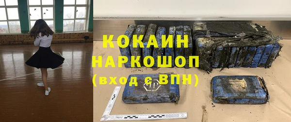 бошки Инта