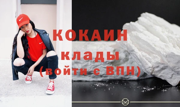 индика Иннополис