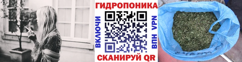 Купить где  Звенигород  Каннабис White Widow 